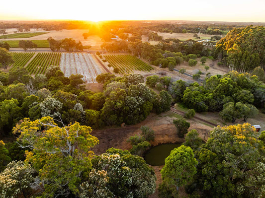 Island Brook Estate Conservation Project - Enhancing Water Security & Biodiversity